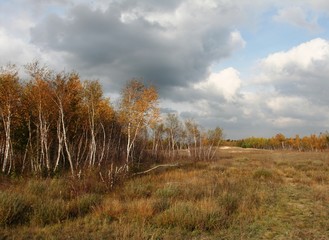 Obraz premium Autumn time