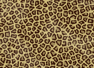 Jaguar skin texture