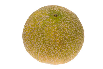 fresh melon