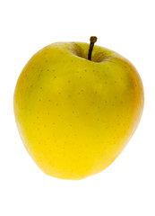 fresh apple