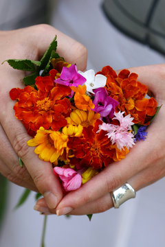 Wildflowers ilike a heart