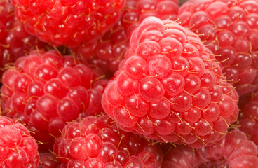 fresh raspberry background