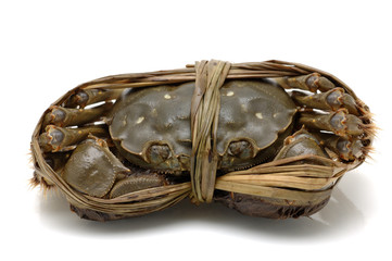 Shanghai crab