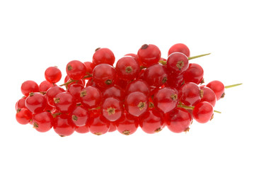 fresh red currant berries