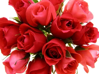 Photo sur Plexiglas Macro roses rouges