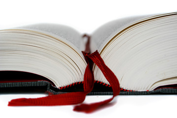 Professional book