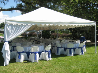 Wedding Reception