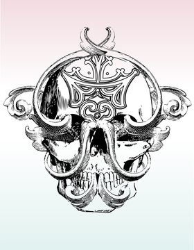 Manglrd skull illustration