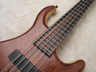 Wood grain bass guitar 4