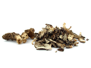 Morels