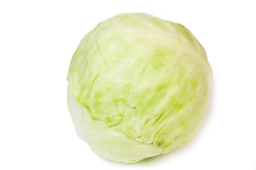 green cabbage