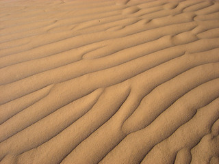 Wellen in der Wüste