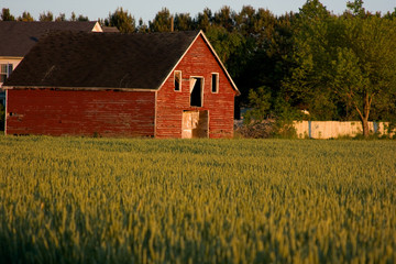 Old red country barn