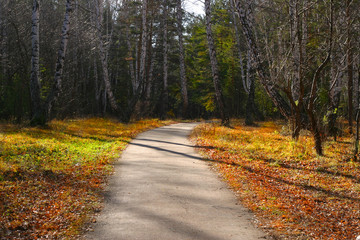 Obraz premium Sidewalk in park