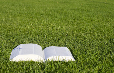 Open book on green grass 2