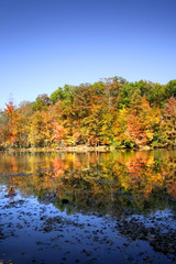 Autumn Scene