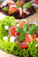 Fresh salad