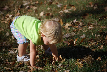 collecting leaves