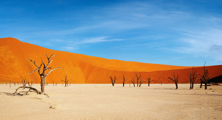 Tote Bäume im Dead Vlei - Sossusvlei, Namib-Wüste, Namibia.
