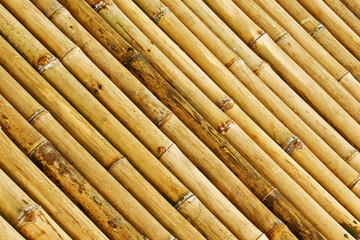 Bamboo Background