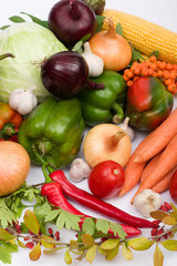 Autumn harvest