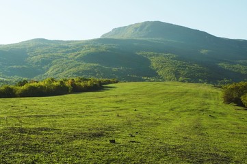 Fototapeta premium Green grassland