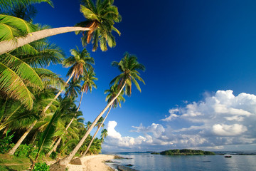 Beautiful tropical beach paradise