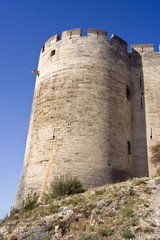 Fototapeta na wymiar Fort de Villeneuve les Avignons