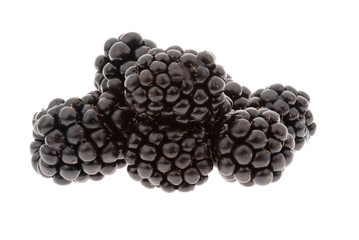 group of blackberries