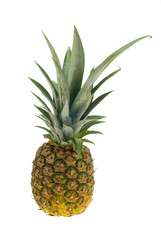 Fototapeta premium fresh pineapple