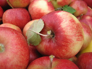 Roter Apfel