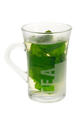 fresh mint tea