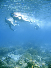 Bikini snorkeling