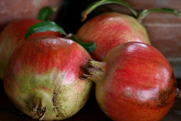 Granataepfel im Gespraech