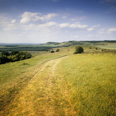 Fototapeta premium farmland
