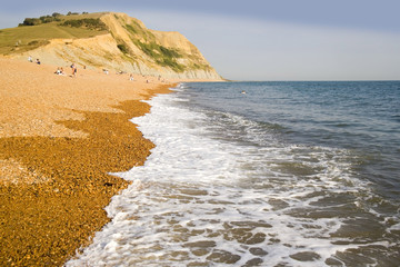 dorset