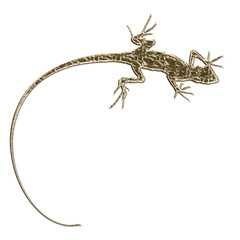 lézard argent