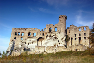 Fototapeta na wymiar Ruin castle