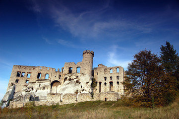 Fototapeta na wymiar Ruin castle
