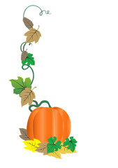  Fall pumpkin and autumn leaves