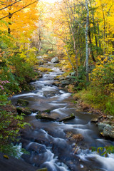 Fall Stream