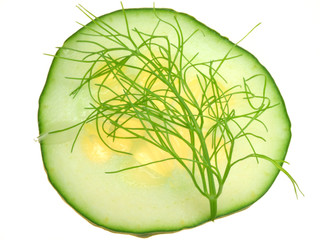 Salatgurke / Dill
