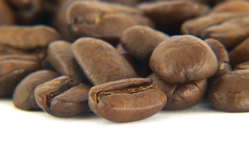 close up photo of coffee beans