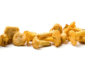 Pfifferlinge auf weissem Hintergrund