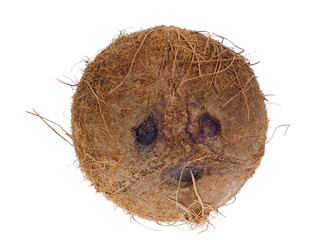 coconut isolated on white