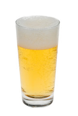 glass of fresh beer
