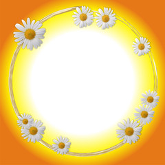 Obraz premium Oval framework decorated by white flowers