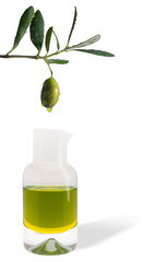 oliva con ampolla