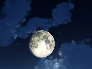 Afwasbaar Fotobehang Volle maan en bomen Maan Nachtelijke Hemel