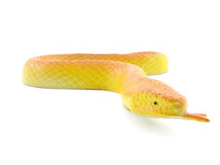 Snake
